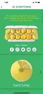 know your lemons 12 symptoms page